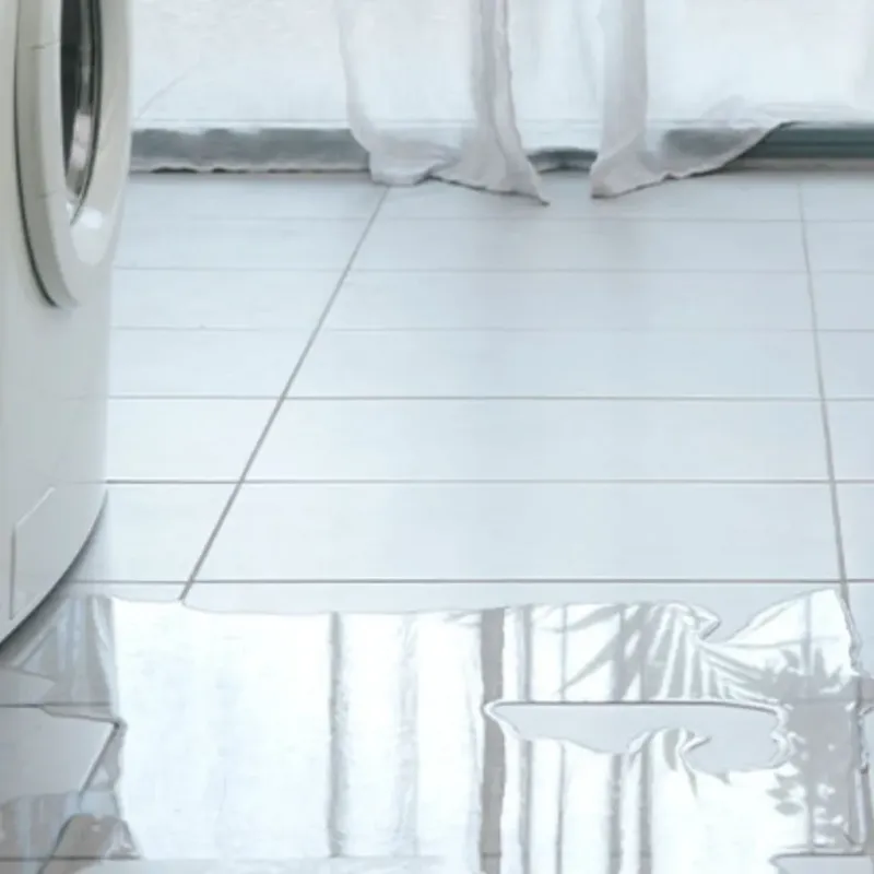 Appliance Leak Cleanup in Anoka County, MN