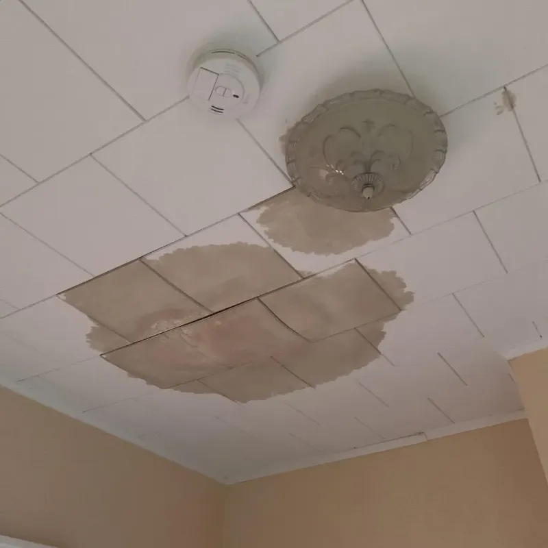Ceiling Water Damage Repair in Anoka County, MN
