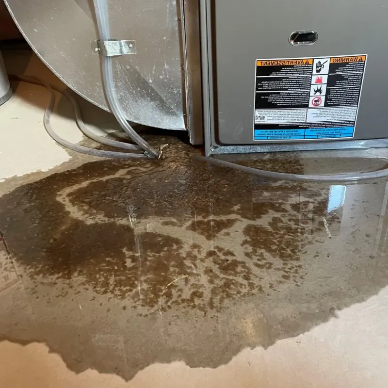 Pipe Burst and Leak Restoration in Anoka County, MN