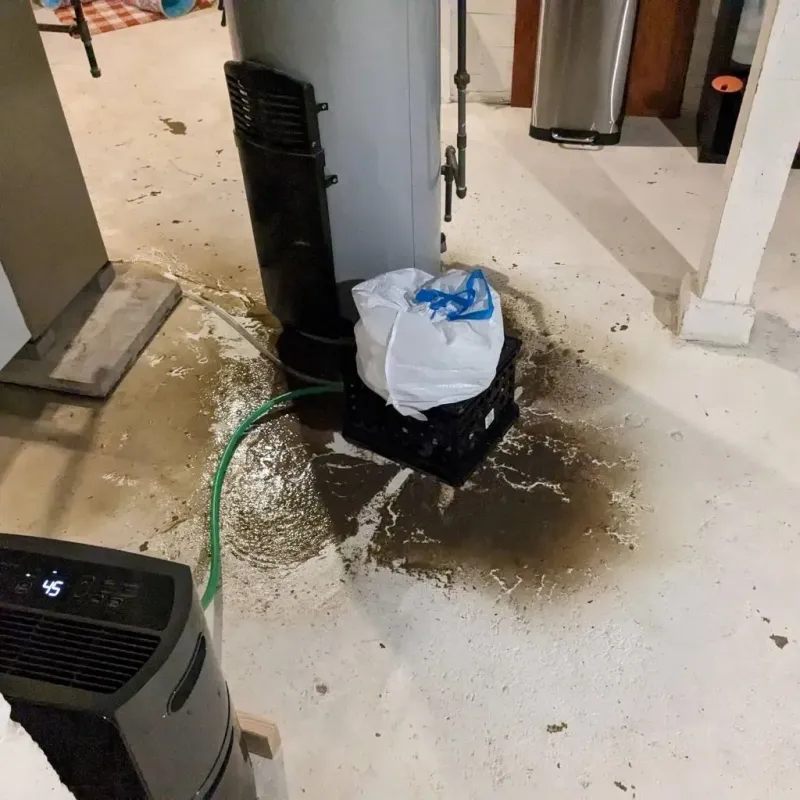 Sewage Backup Cleanup Service in Anoka County, MN